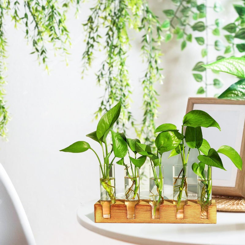 Renmxj Plant Propagation Station  Plant Terrarium with Wooden Stand  Plant Pots for Hydroponics  Small Birthday Gardening Gifts for Women Mom Plant Lovers Unique - 5 Glass Test Tubes Vases - Image 3